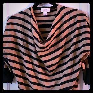 Ann Taylor Loft sweater